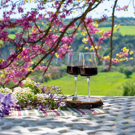 I Sicomori - Seme Di Carota - Glamping E Appartamenti Con Piscina A ساتورنيا المظهر الخارجي الصورة