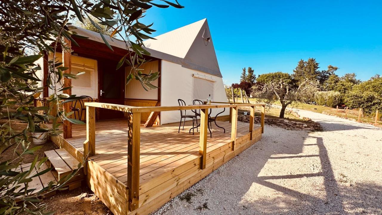 I Sicomori - Seme Di Carota - Glamping E Appartamenti Con Piscina A ساتورنيا المظهر الخارجي الصورة