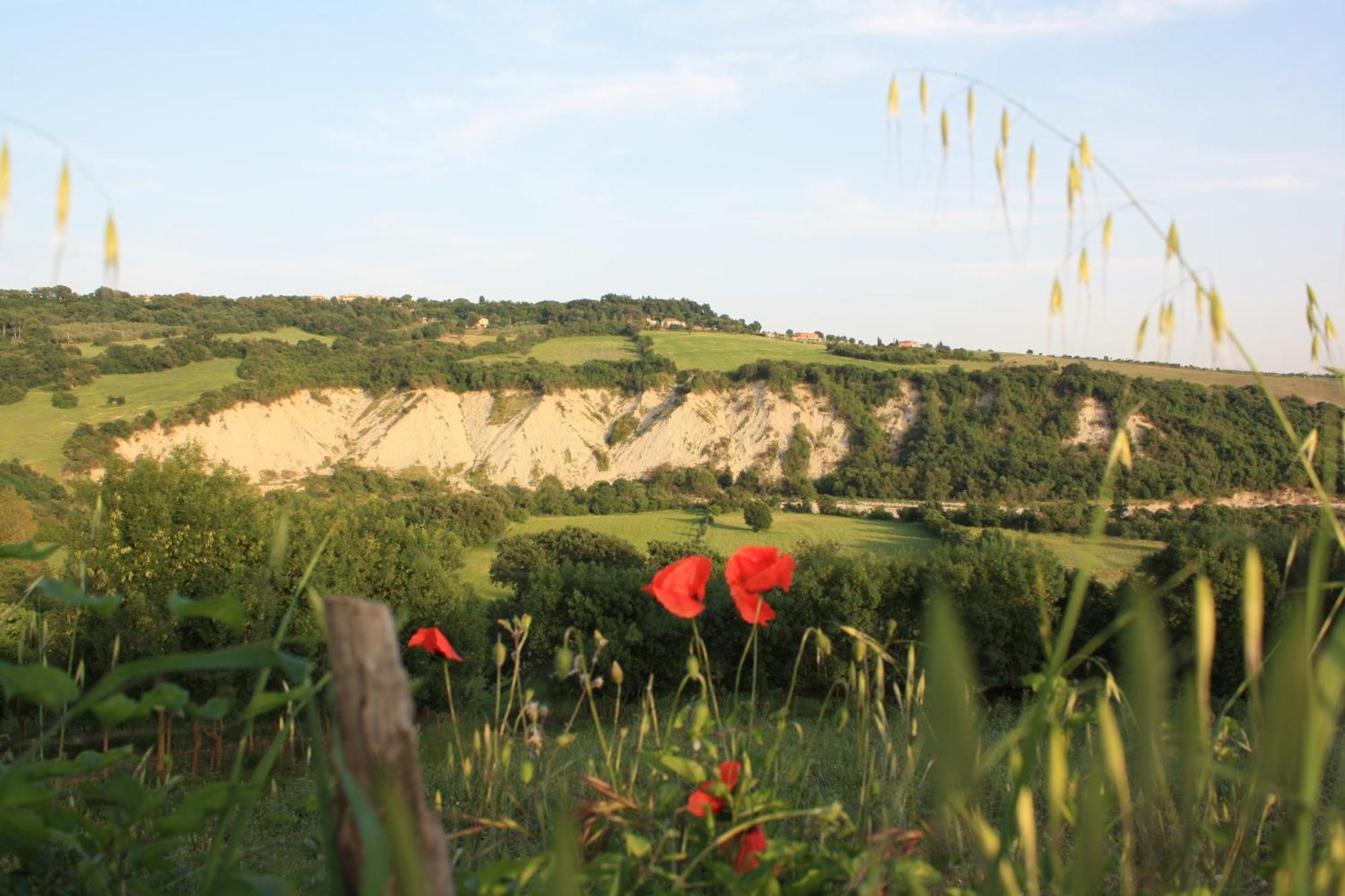 I Sicomori - Seme Di Carota - Glamping E Appartamenti Con Piscina A ساتورنيا المظهر الخارجي الصورة