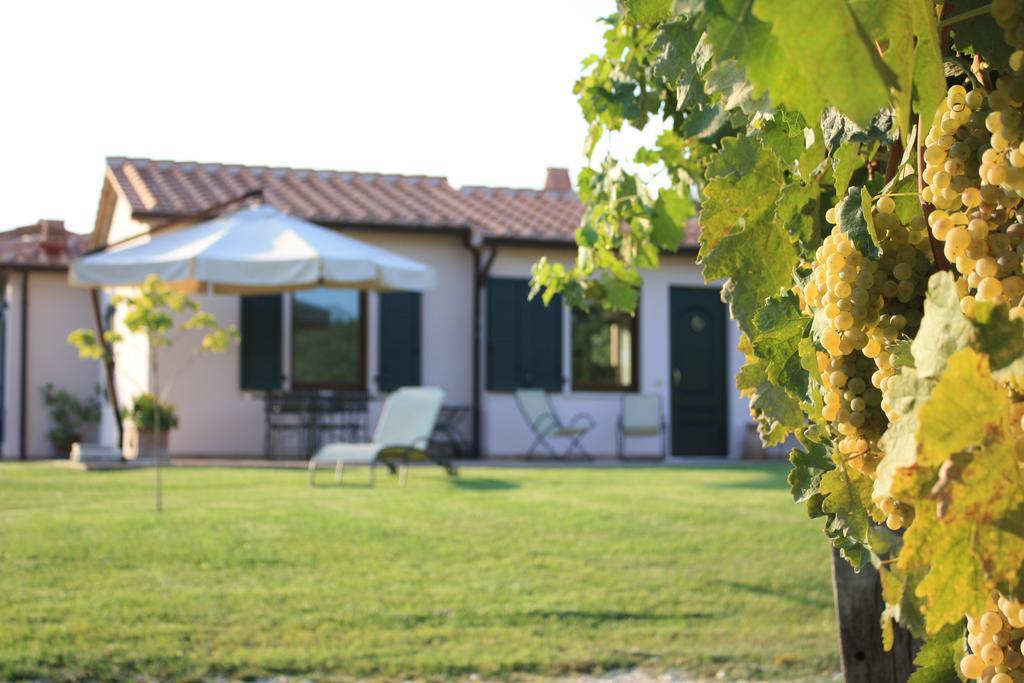 I Sicomori - Seme Di Carota - Glamping E Appartamenti Con Piscina A ساتورنيا المظهر الخارجي الصورة